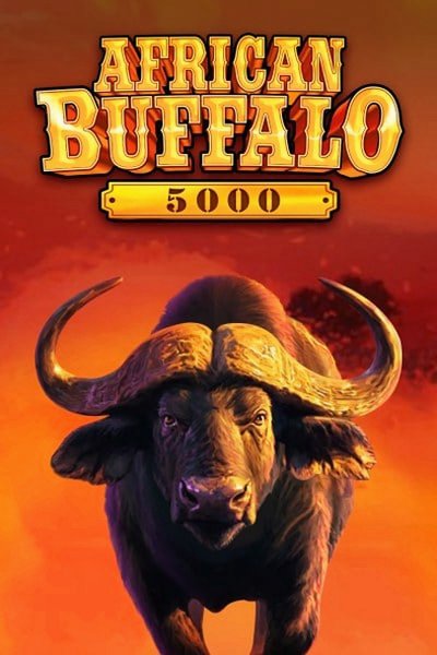 Buvol na obalu African Buffalo 5000 v Casinova