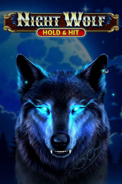 Noční vlk na obalu Night Wolf - Hold & Hit